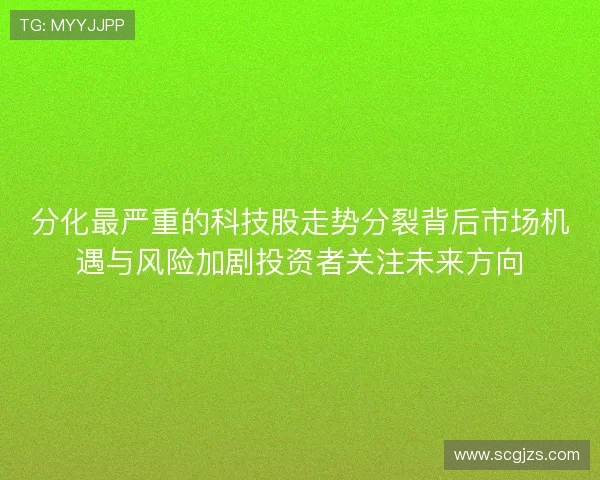 分化最严重的科技股走势分裂背后市场机遇与风险加剧投资者关注未来方向